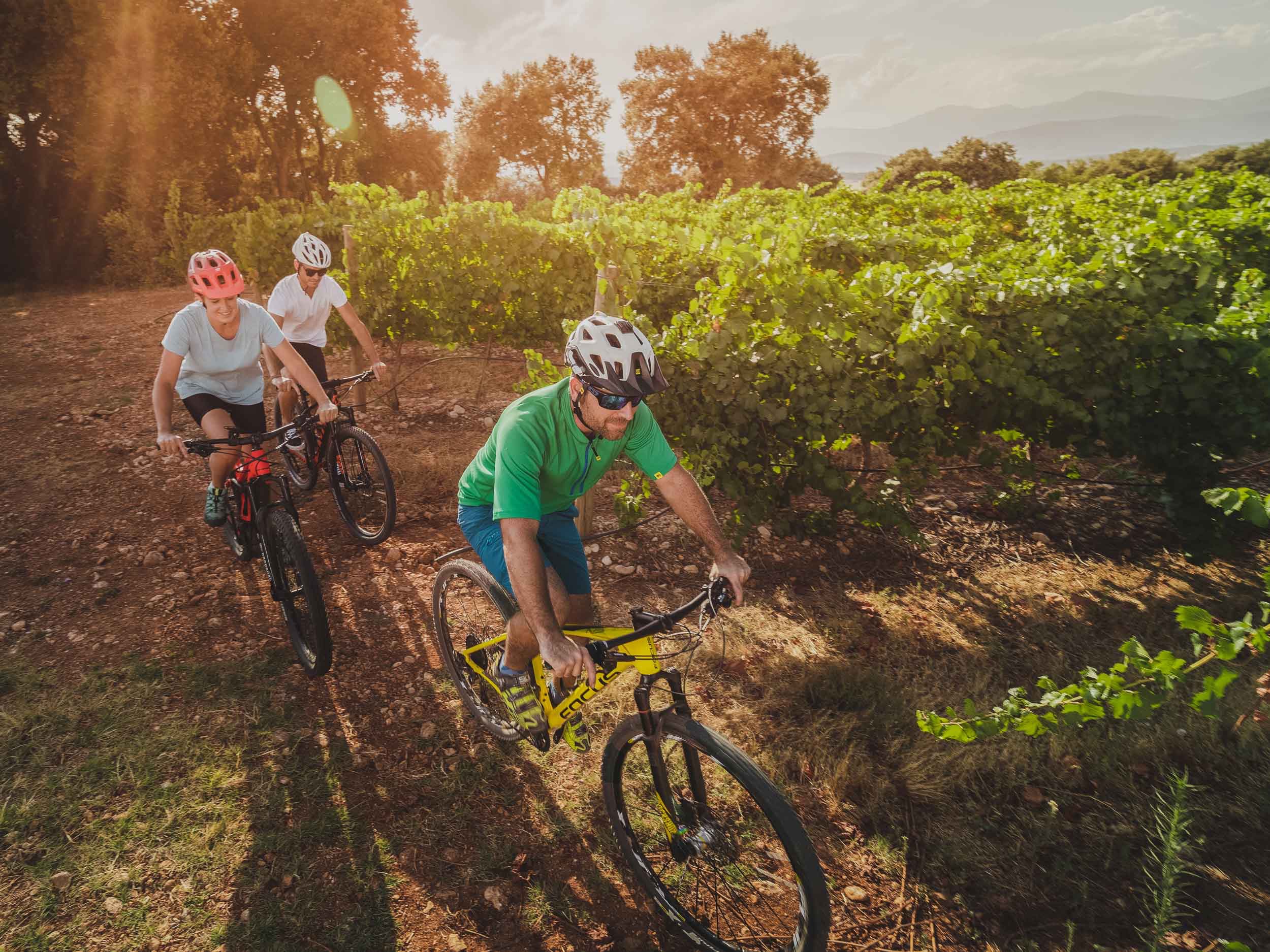 Saborea Guara Somontano diseña una red con seis rutas para recorrer las bodegas en bicicleta