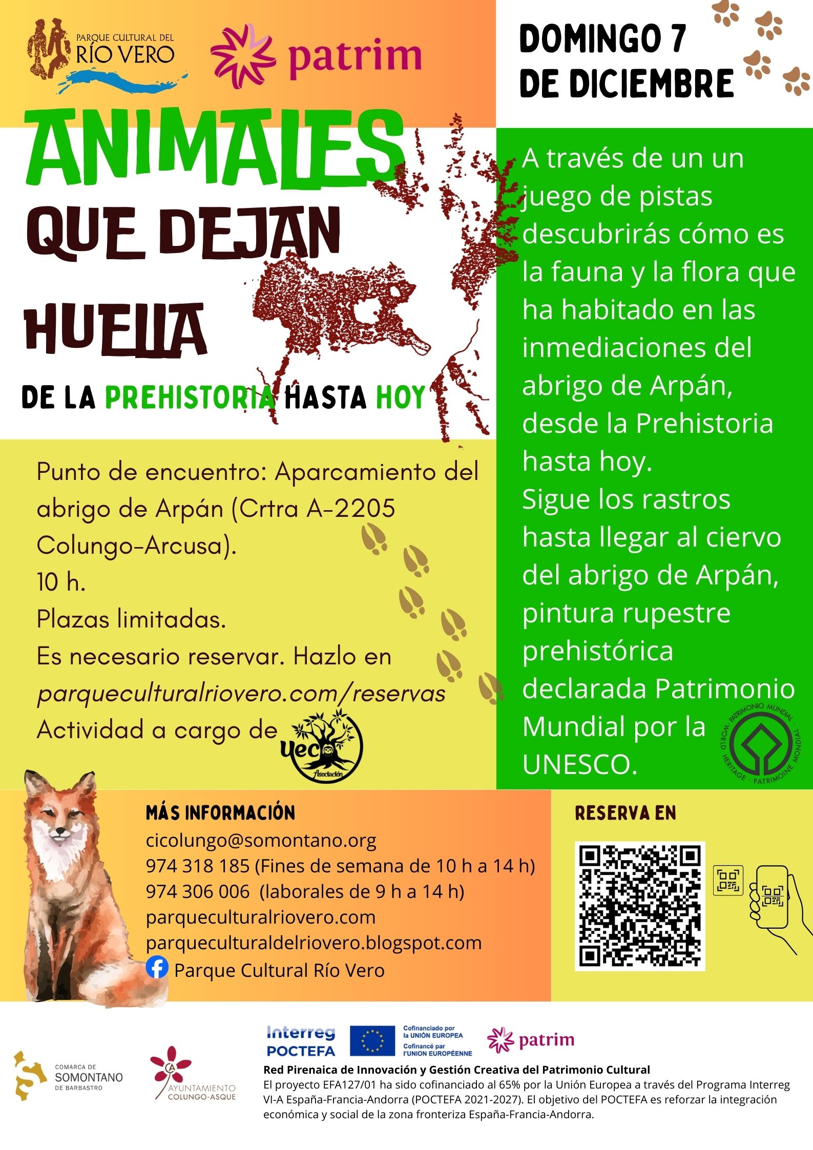 El Parque Cultural del Río Vero y el Proyecto Patrim 4.0. muestran los atractivos de la Prehistoria en sus actividades de otoño 