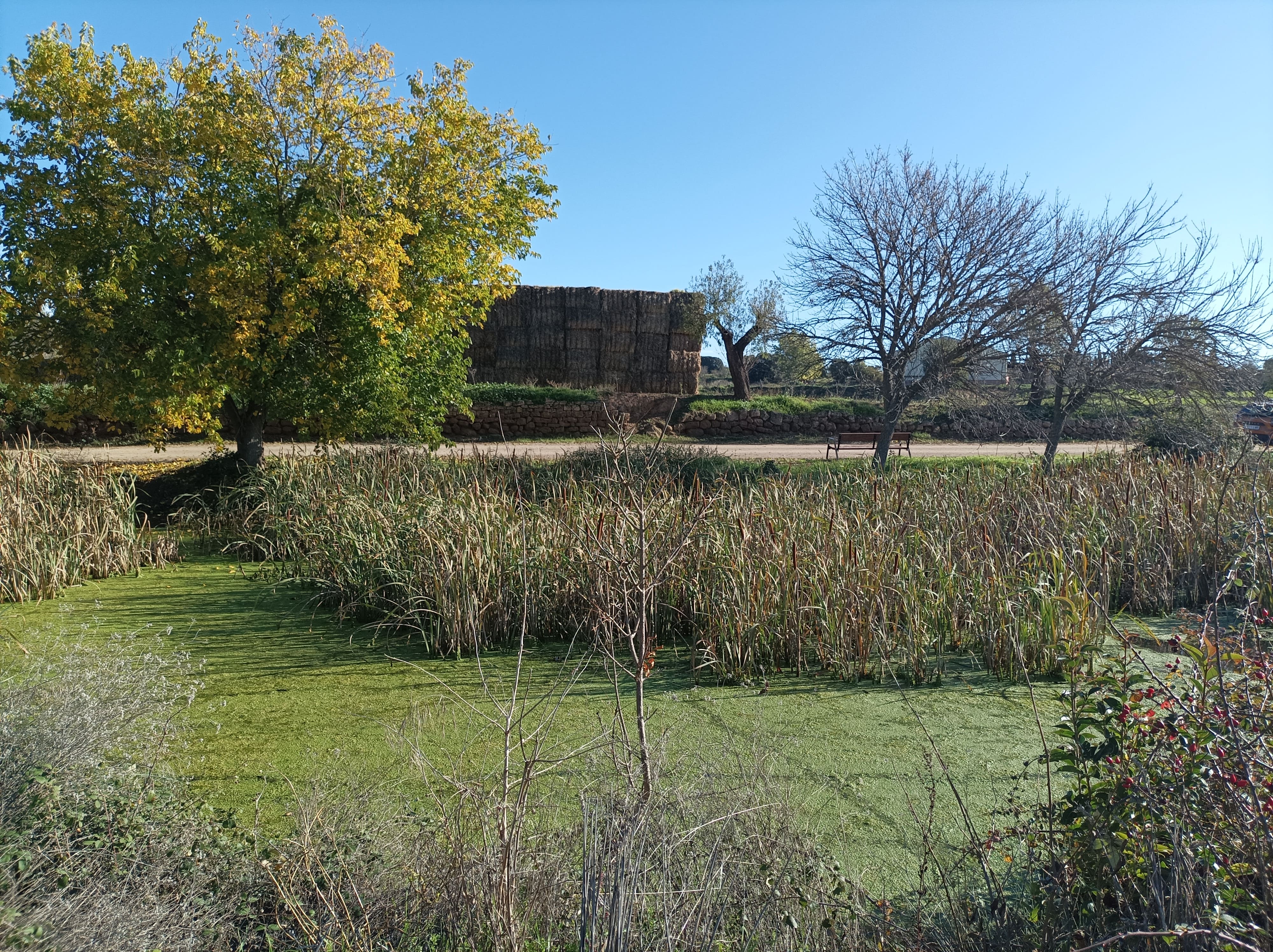 Pozo fuente de Lagunarrota