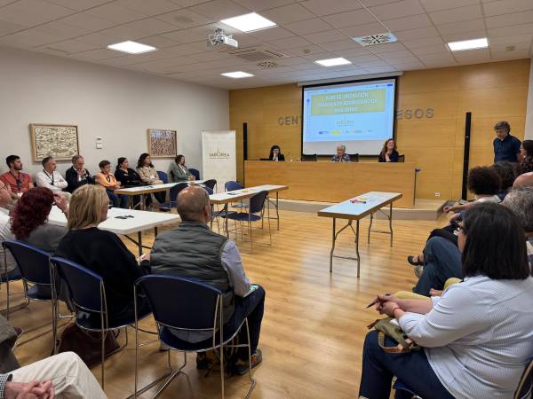 Entidades municipales, comarcal,