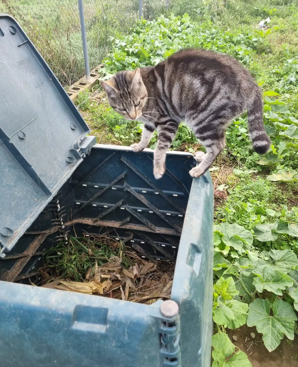 Comienza la capacitación en compostaje para 21 familias de la Comarca del Somontano de Barbastro 