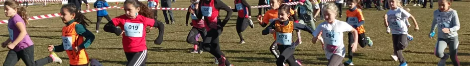 XXXIV Cross Villa de Estadilla