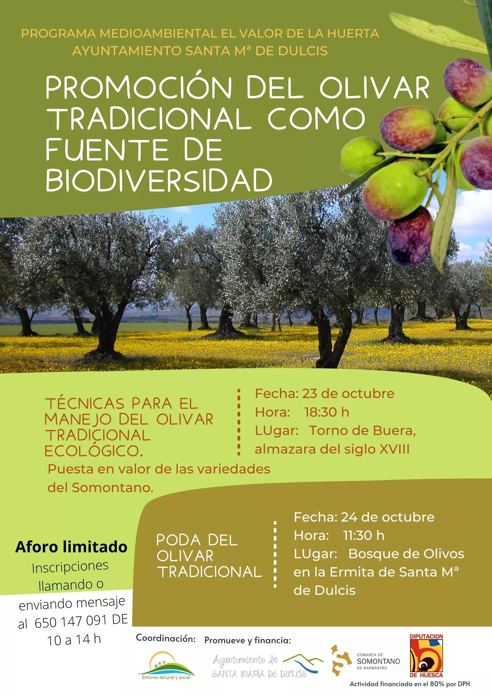 Jornadas formativas para promocionar el olivar tradicional como fuente de biodiversidad en Buera 