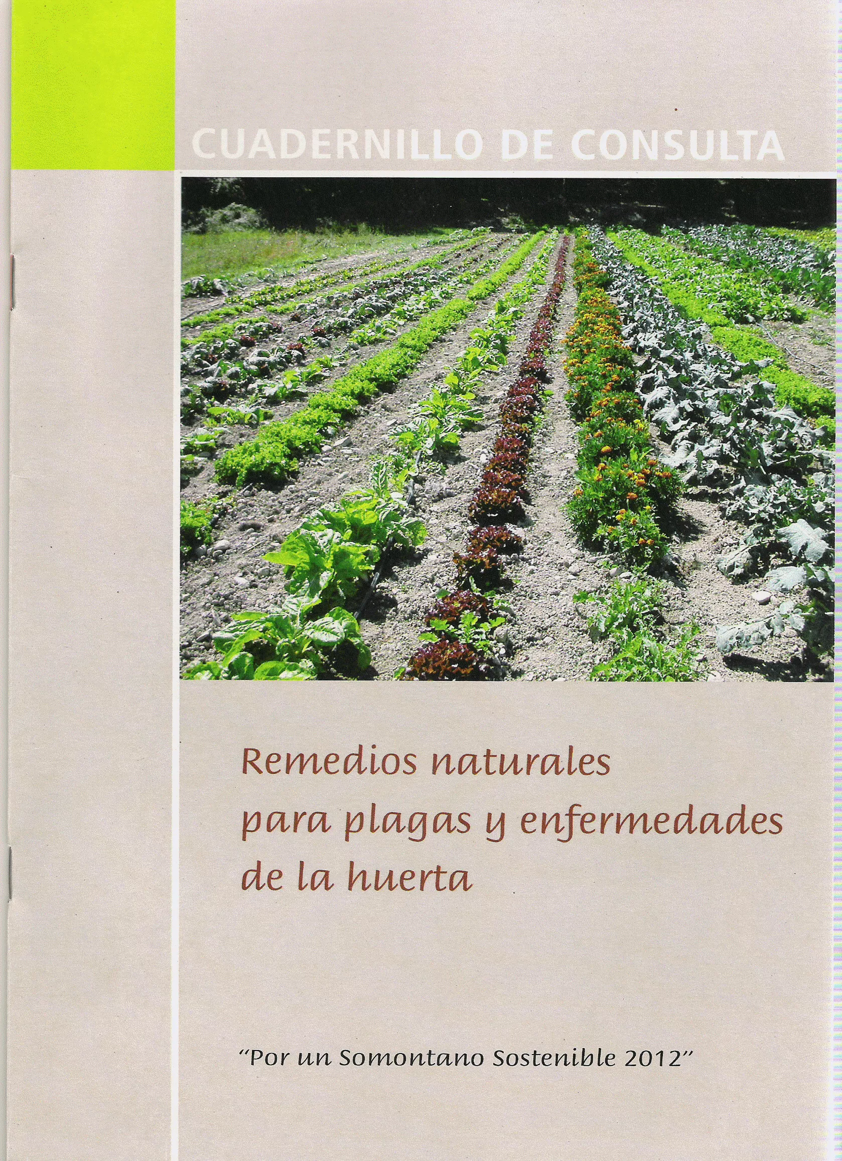 Remedios naturales para plagas y enfermedades de la huerta
