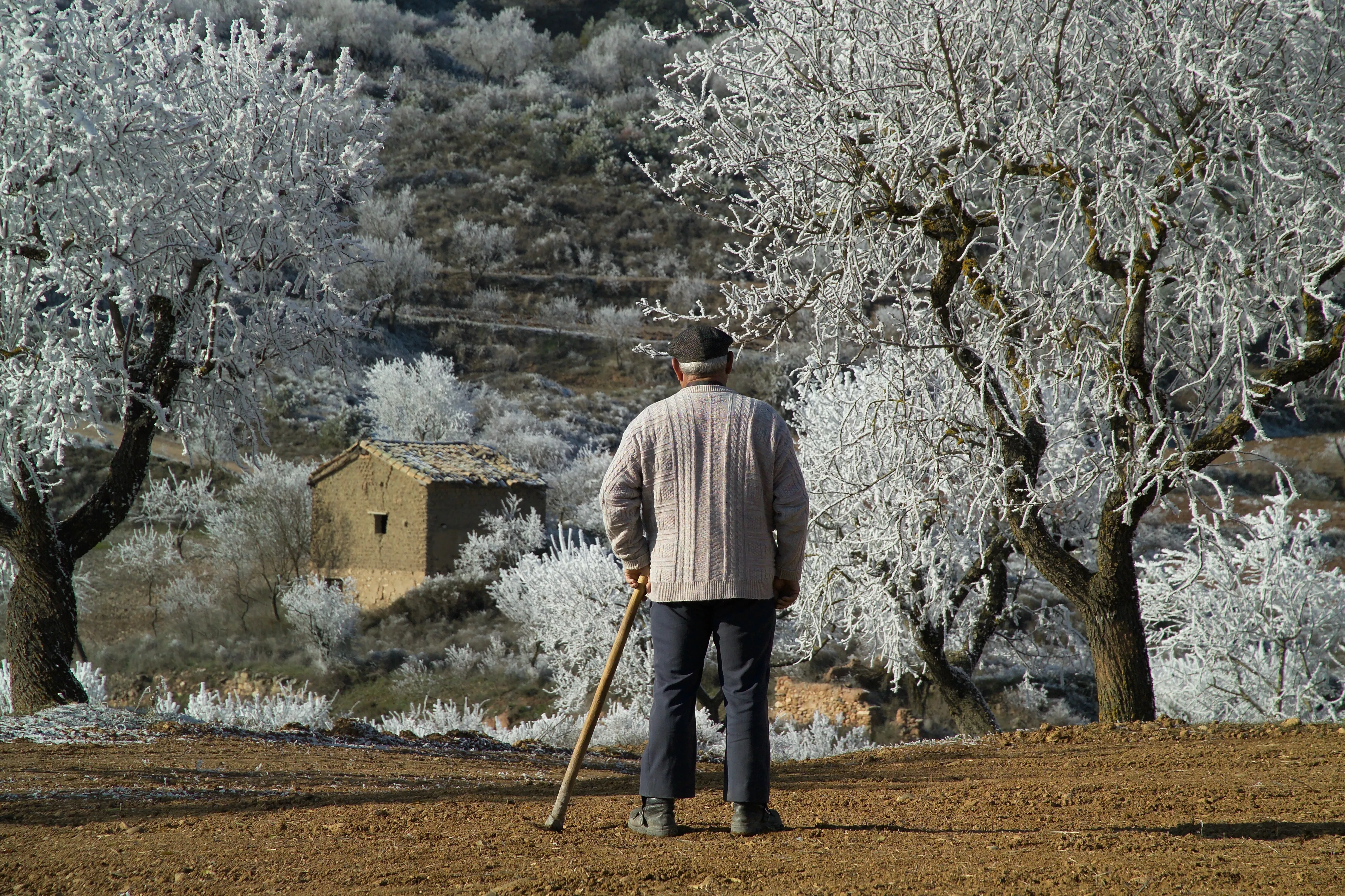¿Qué podemos hacer desde nuestro hogar?