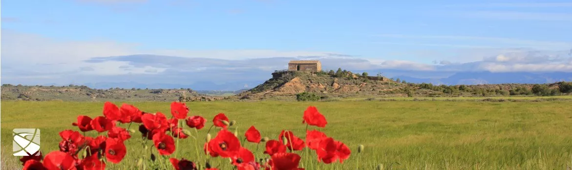Torres de Alcanadre, Lacuadrada
