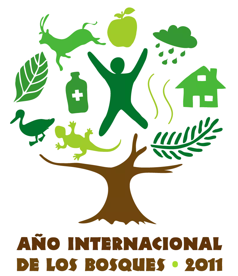 2011, Año Internacional de los Bosques