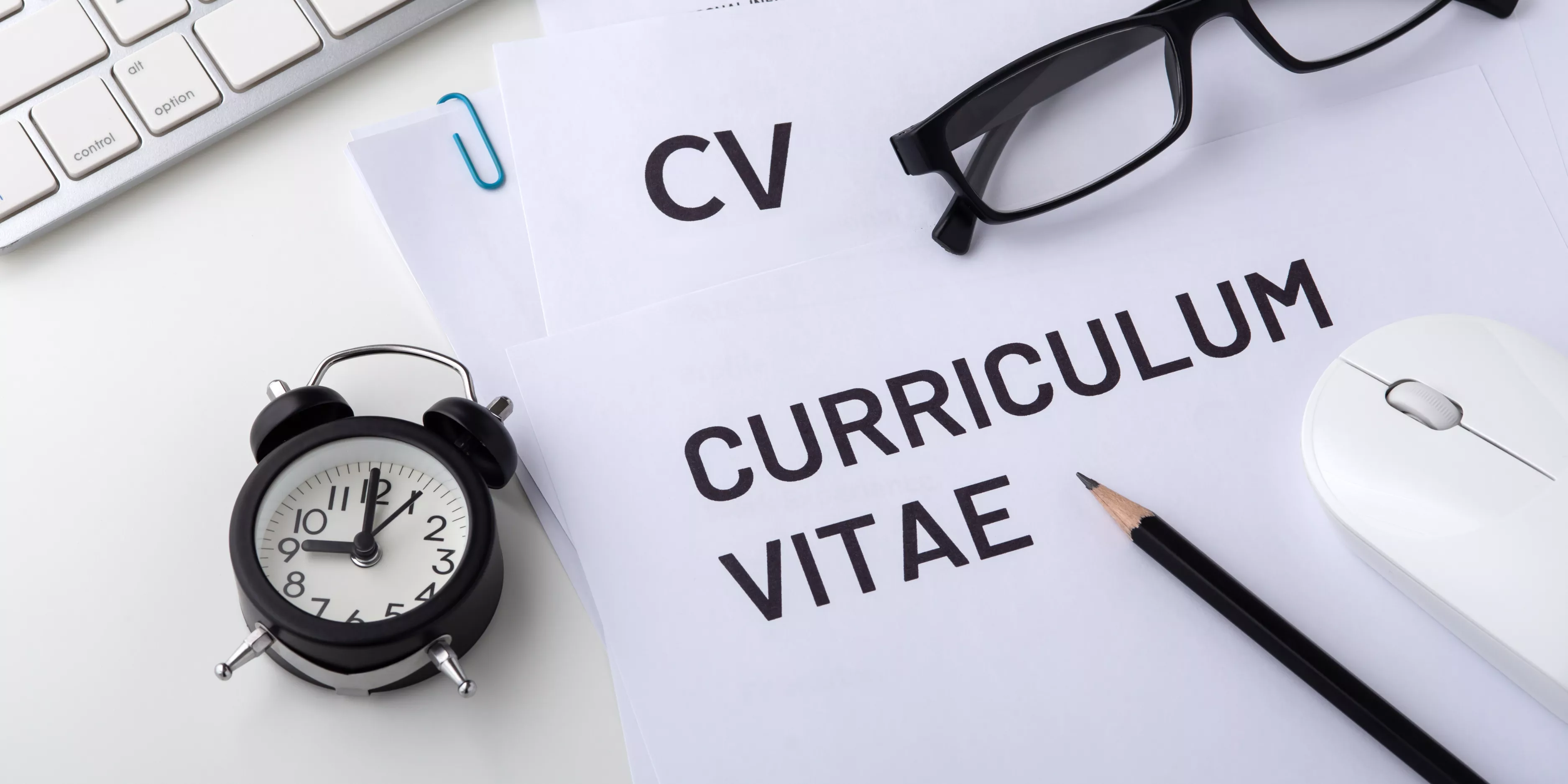 curriculum vitae